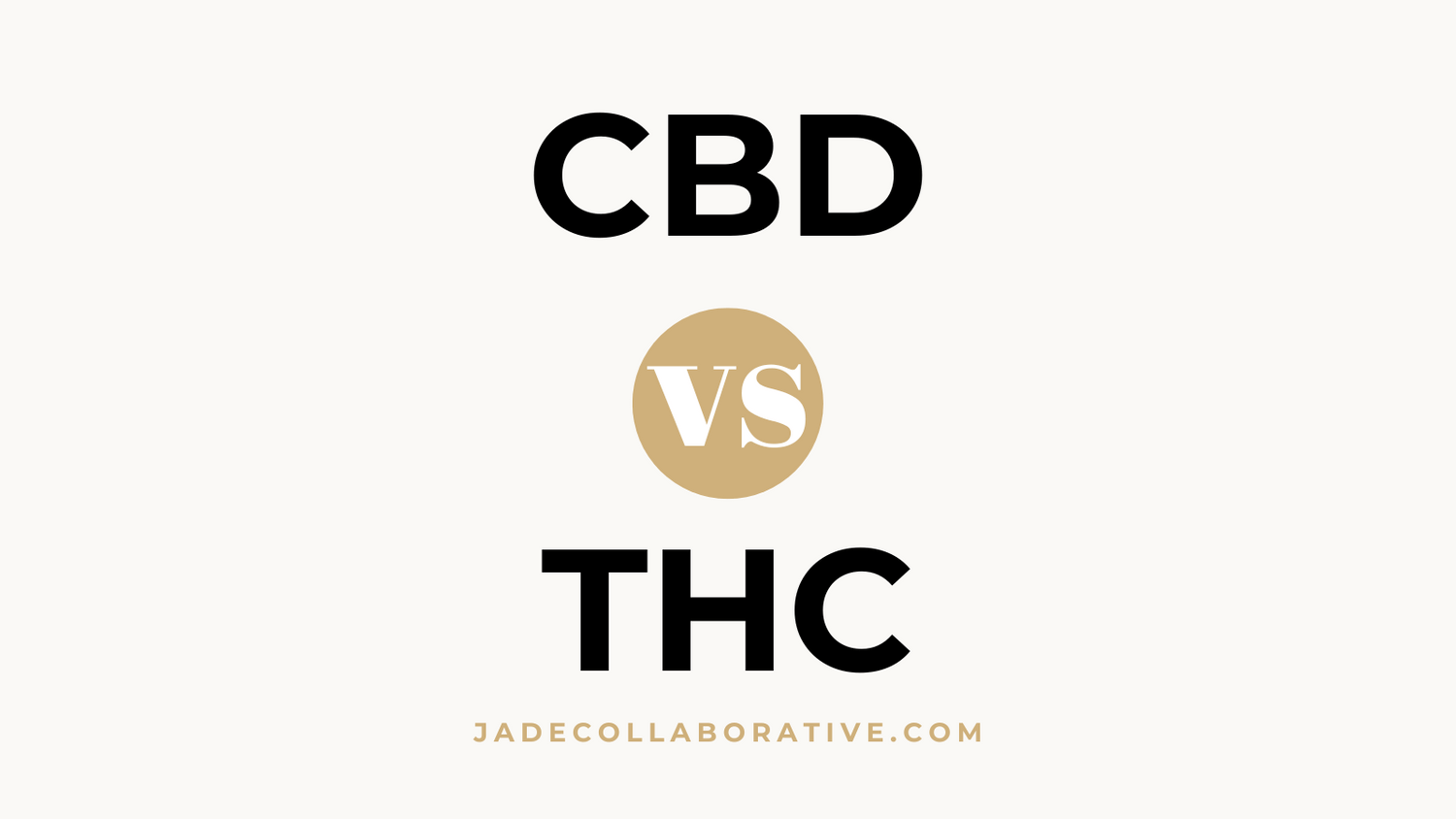 CBD vs THC What's the difference?