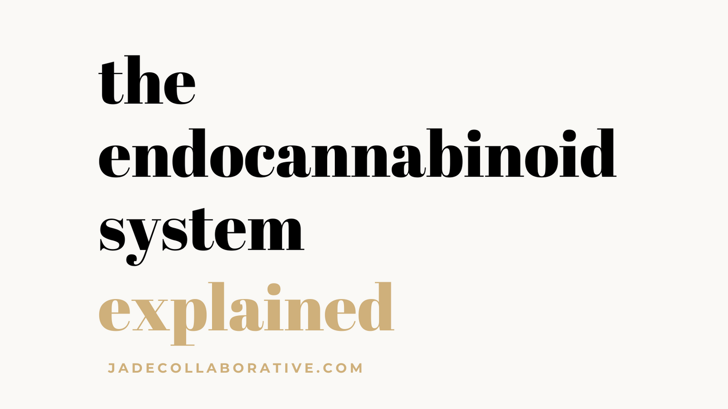 the endocannabinoid system for dummies explained by jade collaborative
