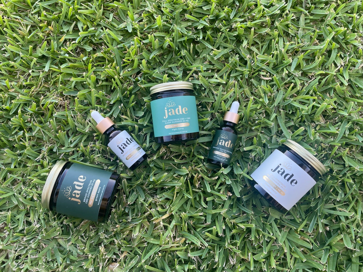 EXPLORING THE BENEFITS OF CBD: A BEGINNERS GUIDE