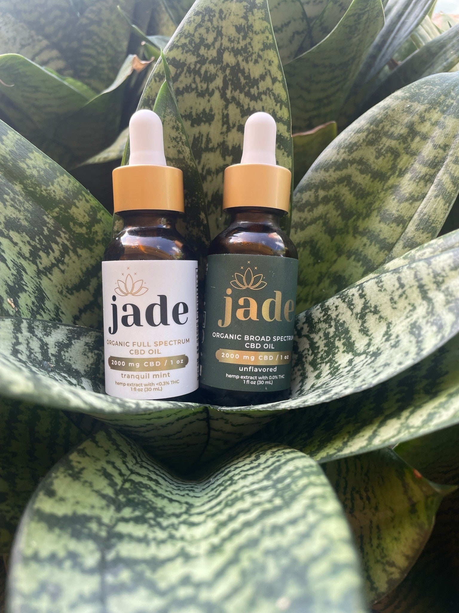 jade collaborative organic cbd oil from the best cbd online store